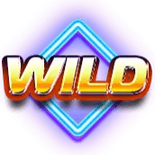 Hot 4 Cash: Hot4cash Wild