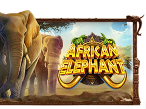 African Elephant slot by Pragmatic Play