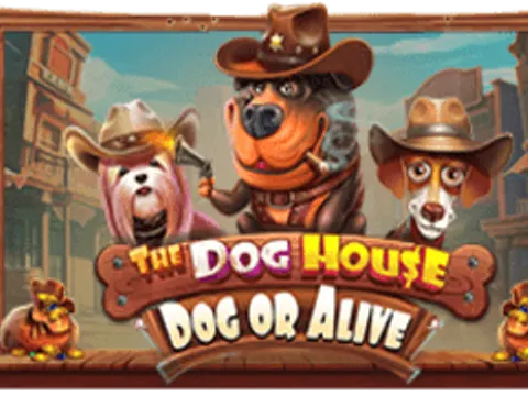 The Dog House - Dog or Alive slot by Pragmatic Play